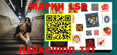 гидропоника Будённовск